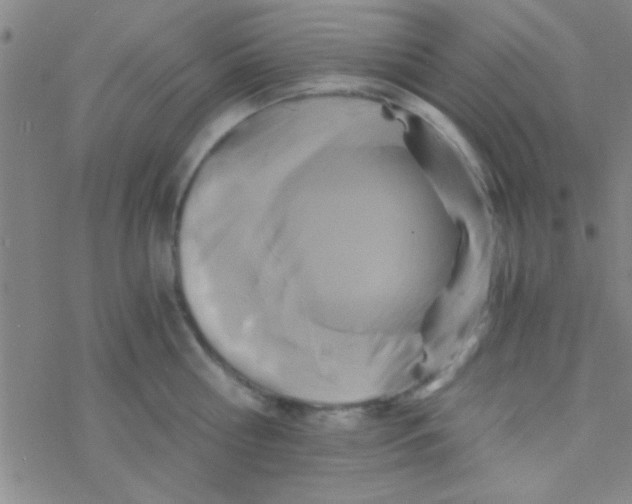 X0000076450810200610271822