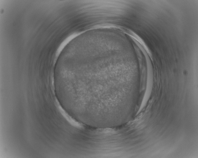 X0000076450811200610271822