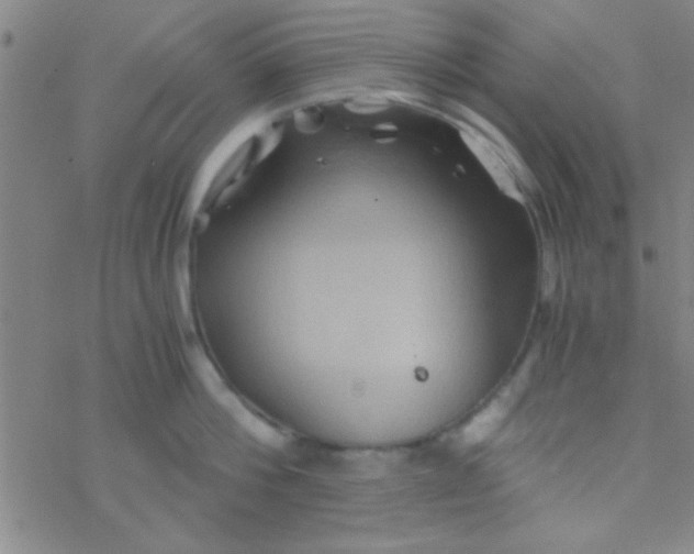 X0000076450812200610271822