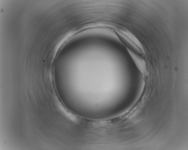 X0000076450813200610271822