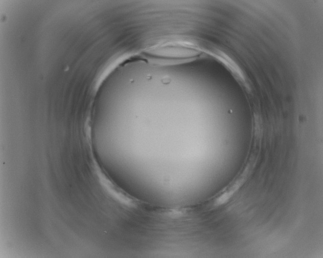 X0000076450814200610271822