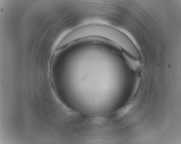 X0000076450815200610271822