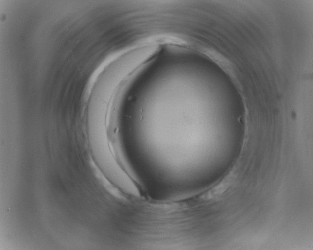 X0000076450816200610271822