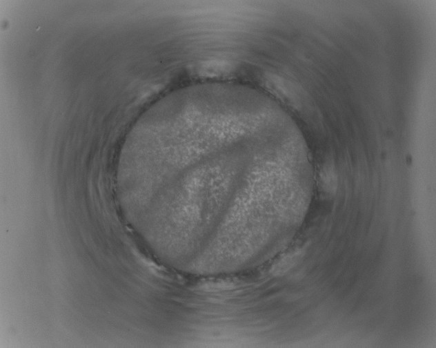 X0000076450817200610271821