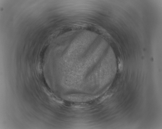 X0000076450819200610271821