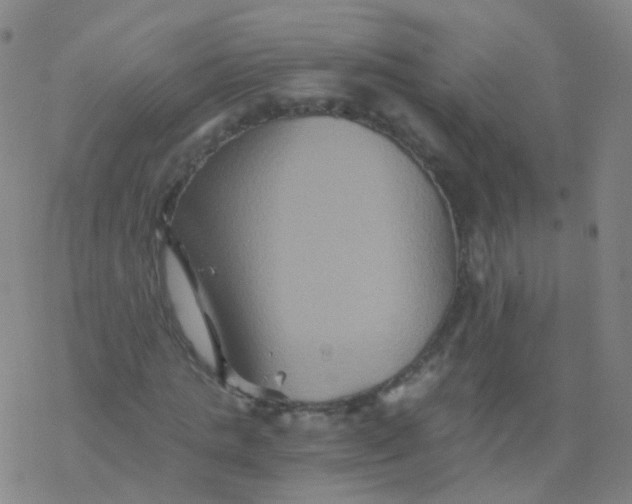 X0000076450821200610271821