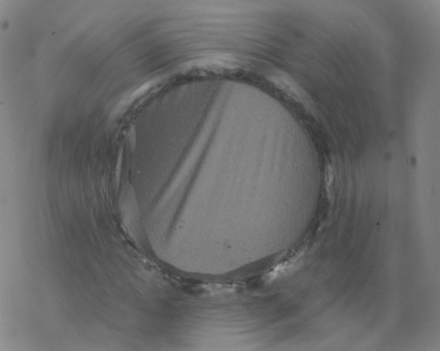 X0000076450822200610271821