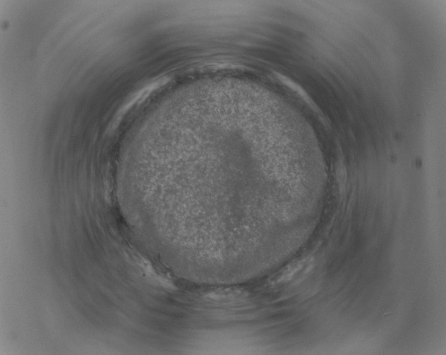 X0000076450823200610271822