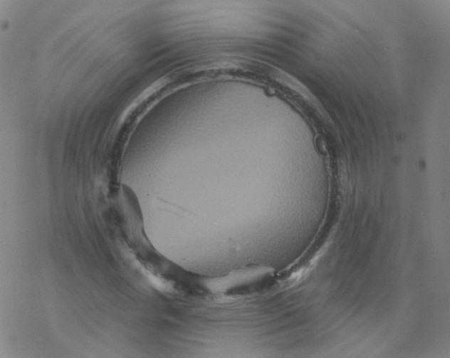 X0000076450826200610271822