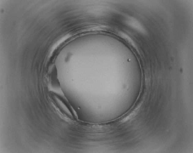 X0000076450827200610271822