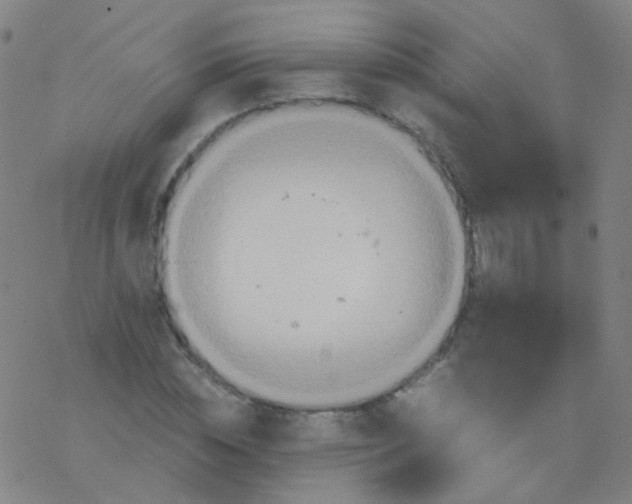 X0000076450828200610271822