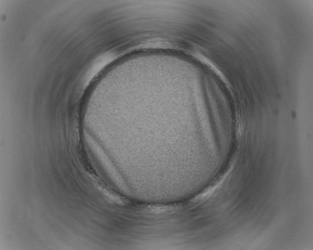 X0000076450829200610271822