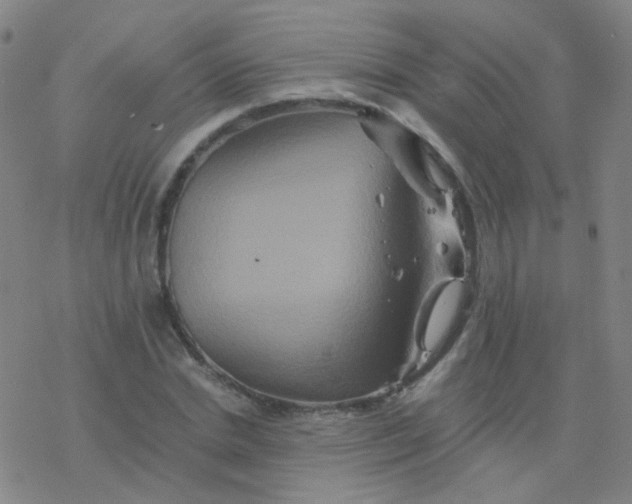 X0000076450830200610271822