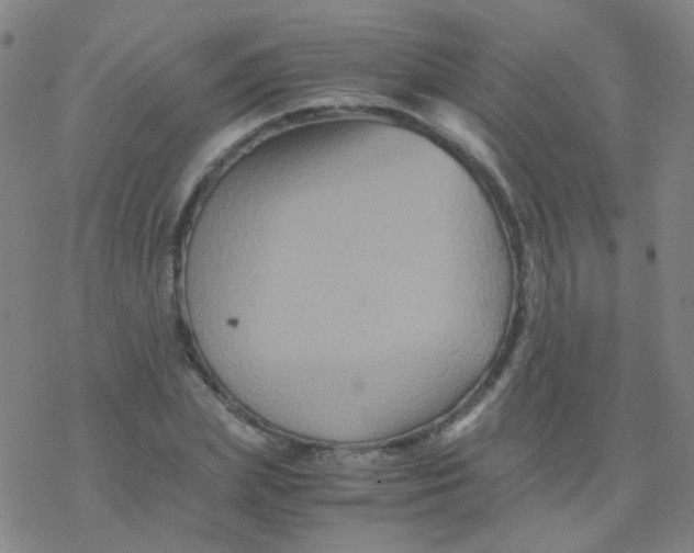 X0000076450831200610271822