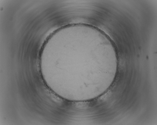 X0000076450832200610271822