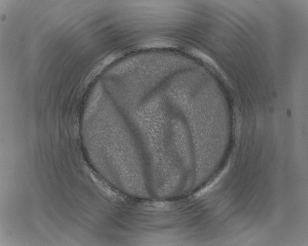 X0000076450833200610271822