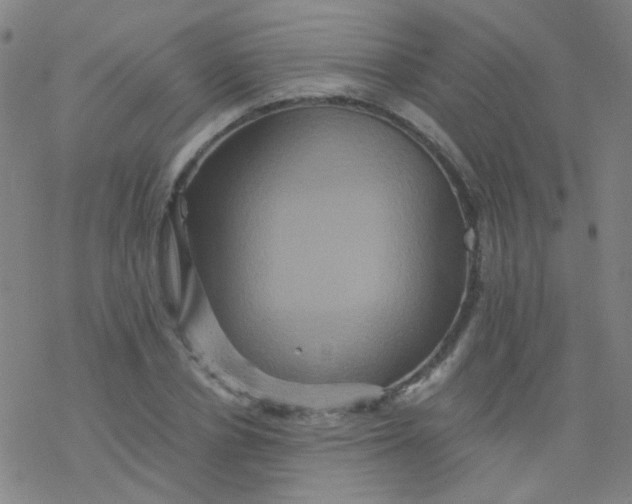 X0000076450834200610271822