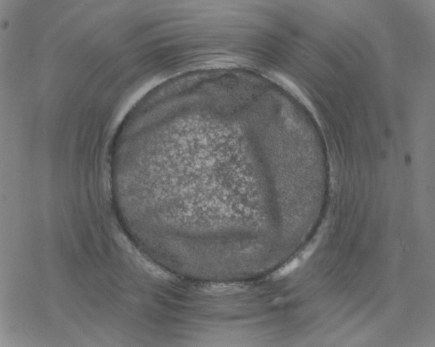 X0000076450835200610271822