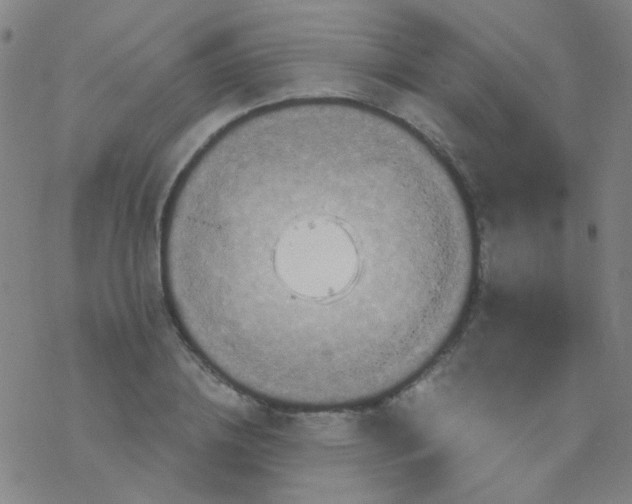 X0000076450836200610271822