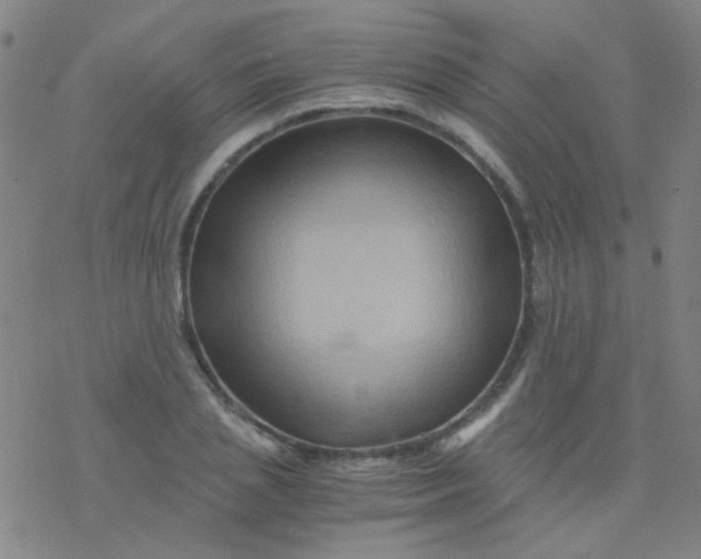 X0000076450837200610271822