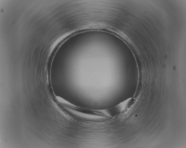 X0000076450838200610271822