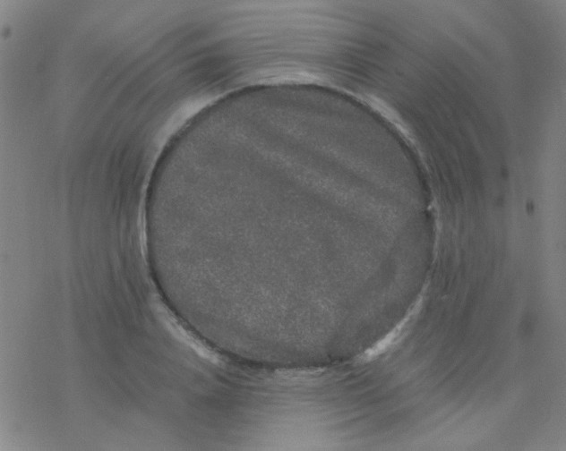 X0000076450840200610271822