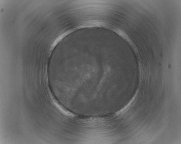 X0000076450842200610271822