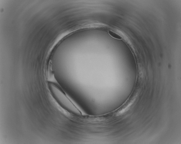 X0000076450843200610271822