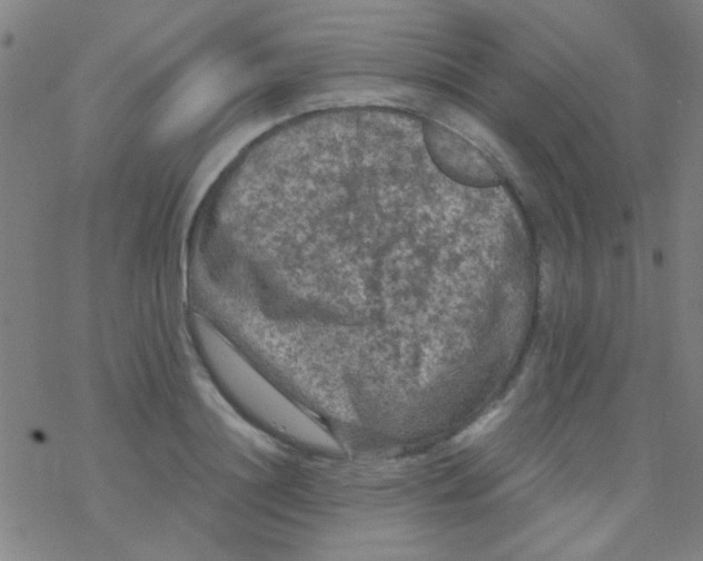 X0000076450844200610271822