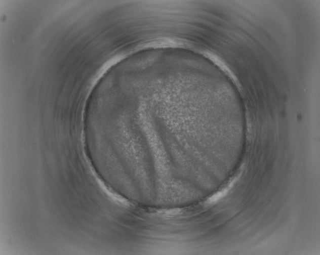 X0000076450845200610271822