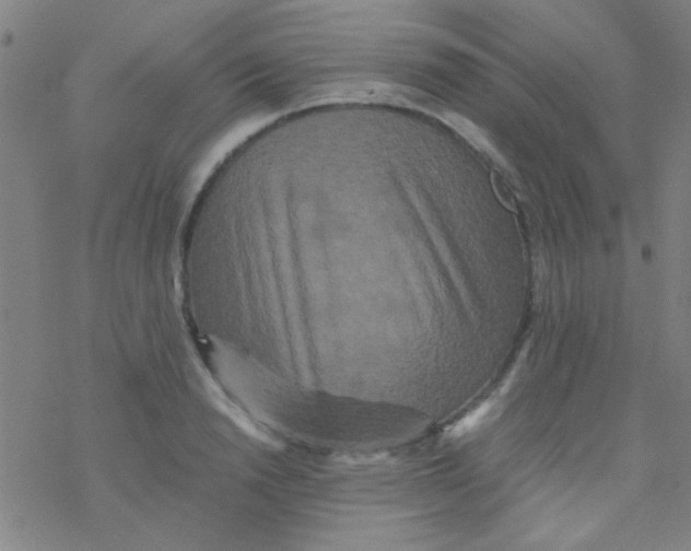 X0000076450846200610271822