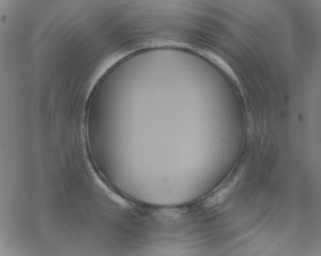 X0000076450847200610271822