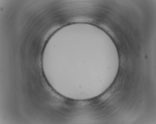 X0000076450848200610271822