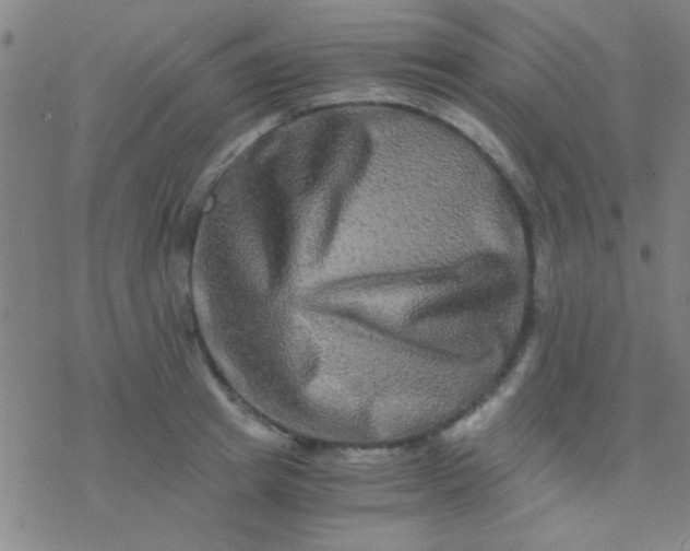 X0000076450849200610271822