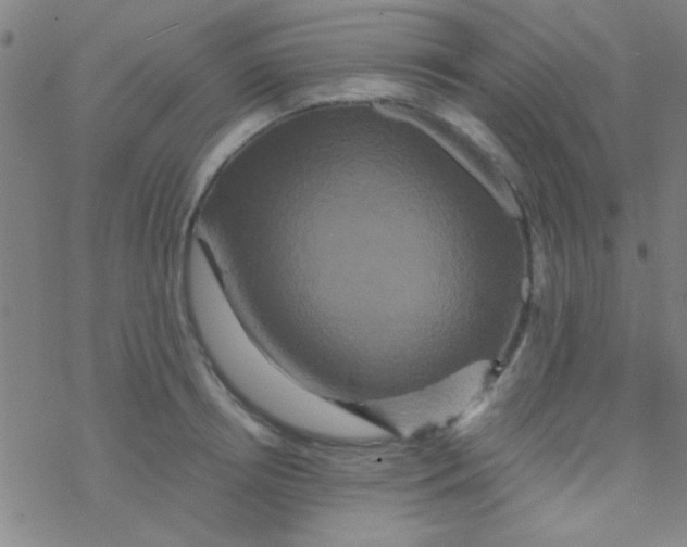 X0000076450850200610271822