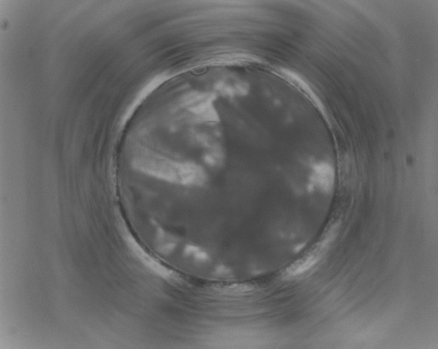 X0000076450851200610271822