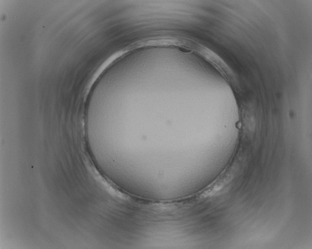 X0000076450852200610271822