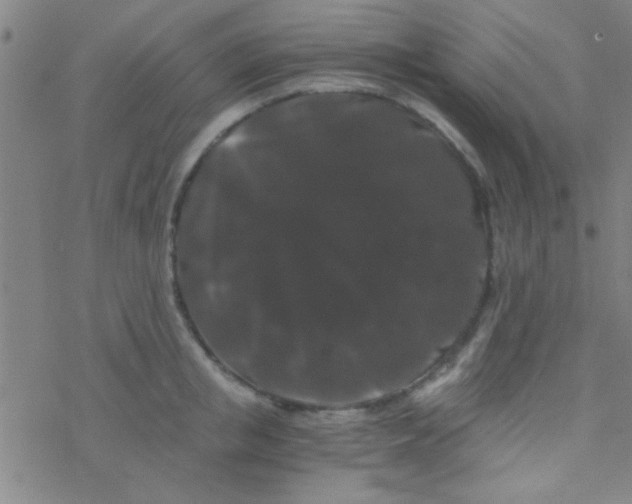 X0000076450853200610271822