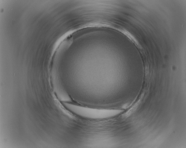 X0000076450854200610271822