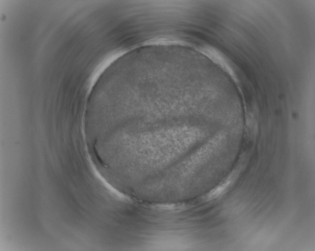 X0000076450855200610271822