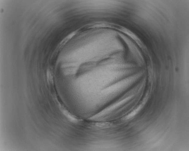 X0000076450857200610271822