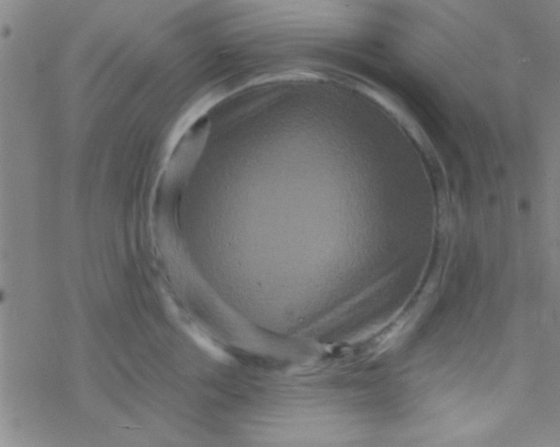 X0000076450858200610271822