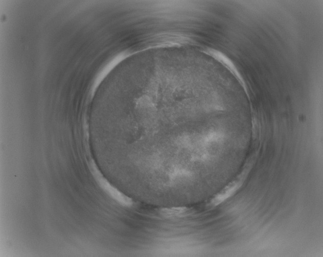 X0000076450859200610271822