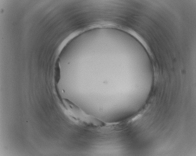 X0000076450861200610271822