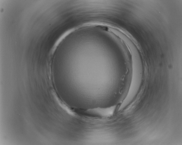 X0000076450862200610271822