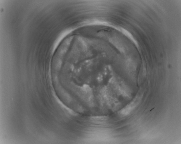 X0000076450863200610271822