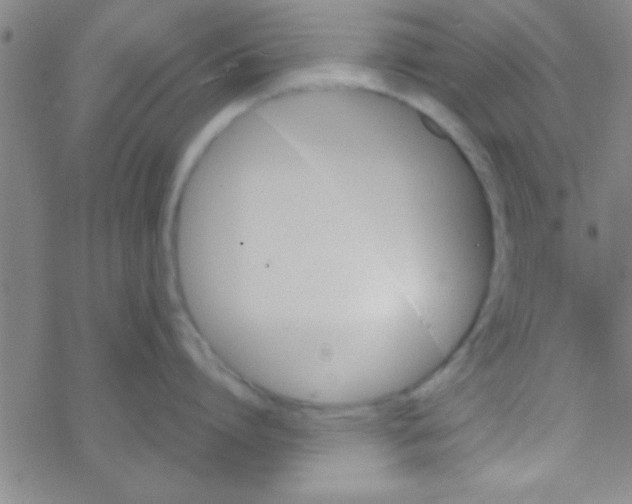 X0000076450864200610271822