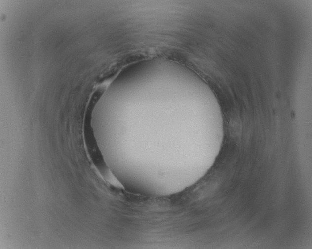 X0000076450865200610271821