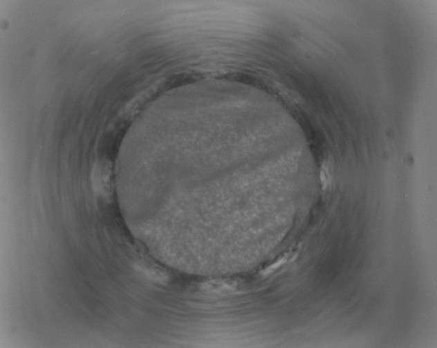 X0000076450867200610271821