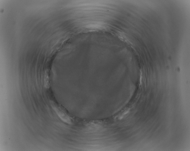 X0000076450868200610271821